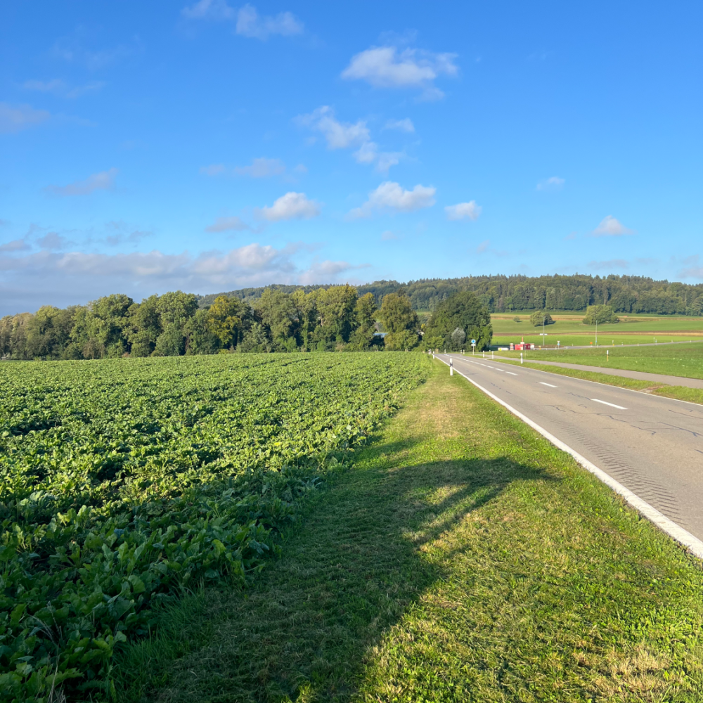 Landschaftspflege GPM Networks GmbH Landschaftspflege GPM Networks GmbH